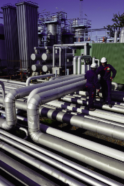 schneiderright medium