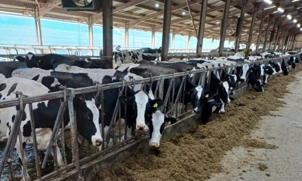 Slurry transfer system greatly enhanced with Landia pumps at Metcalfe Farms