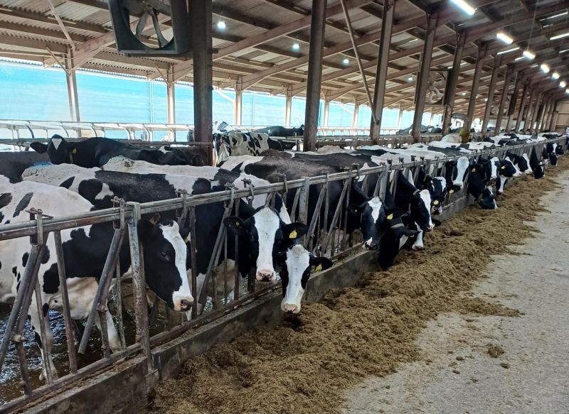Slurry transfer system greatly enhanced with Landia pumps at Metcalfe Farms