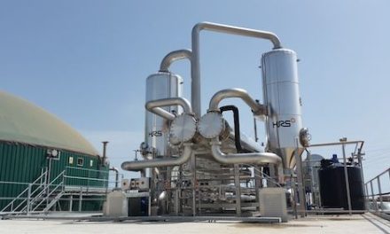 Pasteurisation boosts biogas investment