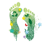 feet medium