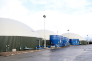 ad plant medium
