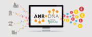 amr dna graphic medium