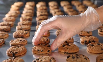 42 Technology supports Burton’s Foods with industrial fuel switching study