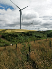 community windfarm medium