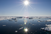 whoi and adi image cl 20070716 arcticocean sun 008 medium