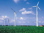 sen windmills1 medium