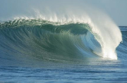 tide medium
