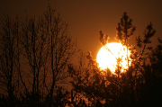 sun2 medium
