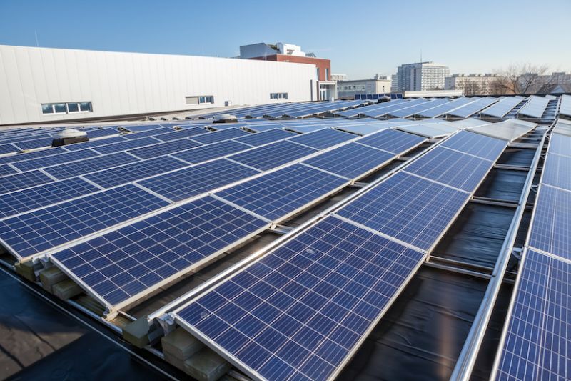 Green from the inside out: What sustainable operations look like on a factory floor  