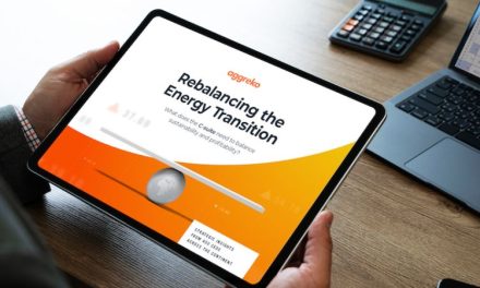 CEOs adjust net zero timescales and investment in bid to balance commerciality and sustainability