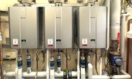 Is the Chaos Politics of NetZero Progressing to NotZero?