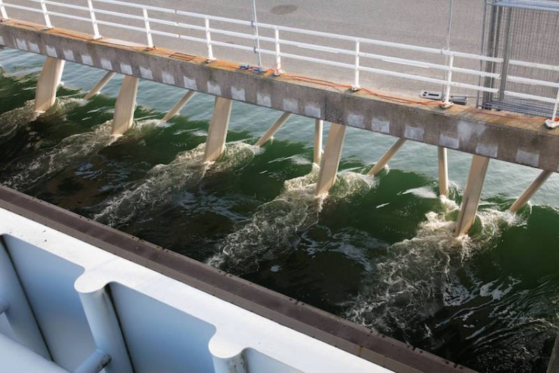 Making waves in the energy sector