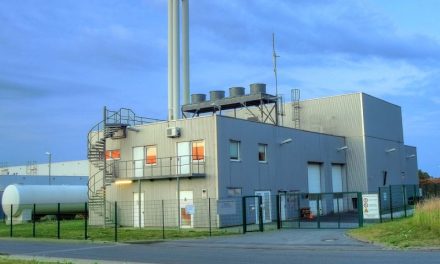 Can biomass help the UK achieve Net Zero?