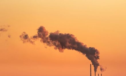 Why are energy providers abandoning net-zero strategies