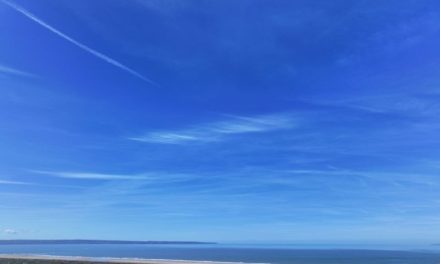 Flotation Energy and Cobra announce Celtic sea floating offshore wind project