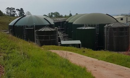 In the UK biogas industry, where numerous plants are failing, customers and suppliers must put an end to the blame-game and start working together