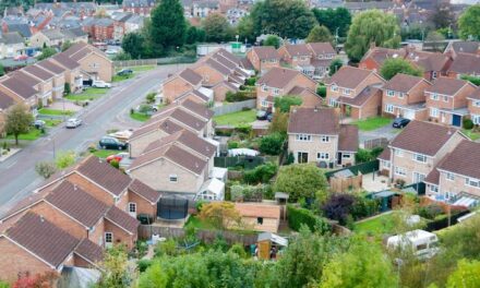 DINO – Future-proofing Constrained Local Energy Networks