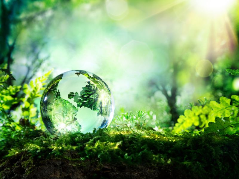 UK’s biggest electricity distributor’s Net Zero ambitions validated