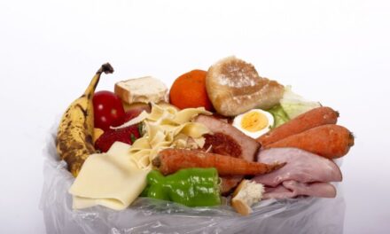 SpecialistCHP firms deliver big results for local authority AD plant