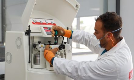 Bridging the green skills gap: Building a workforce to power the net-zero transition