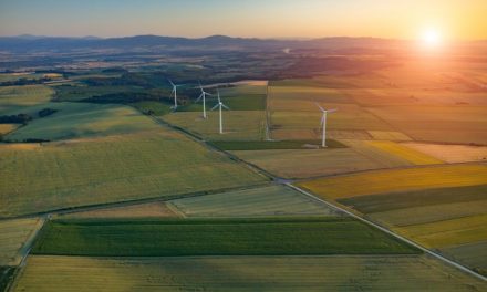 From linear to circular: The blueprint for sustainability and success