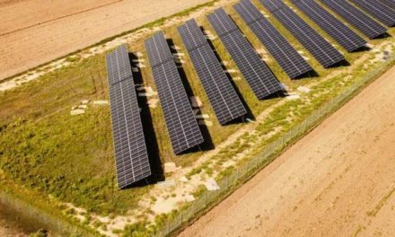 74MW GoodWe solar project serves as template for UK utility-scale farms