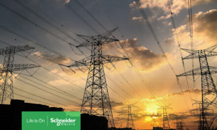 Putting the “smart” into smart grids: A recipe for success 