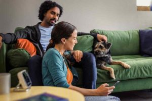 Hive smart home technology