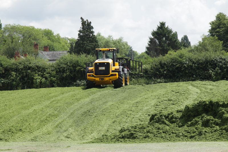 New grass silage additive maximises biogas potential for Vale Green Energy