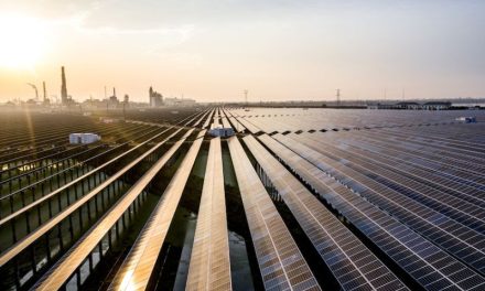 Believe in the power of electrification to unlock our industrial future