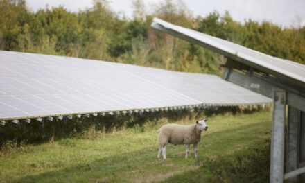 Lightsource bp to start construction on its largest UK solar project to date