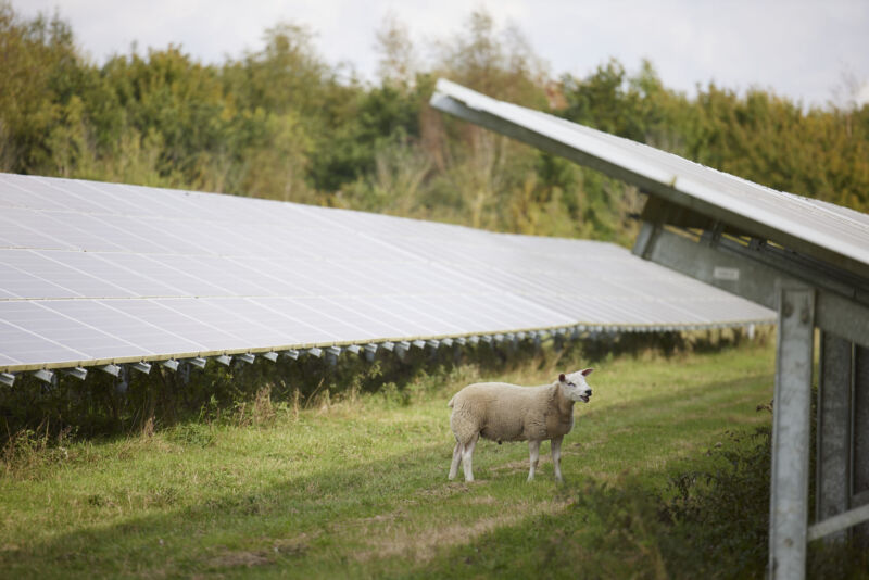 Lightsource bp to start construction on its largest UK solar project to date