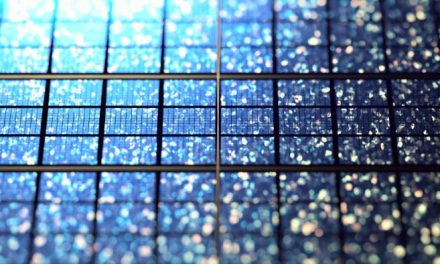 Taking sustainability further with organic solar cells