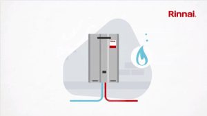 RINNAI Pictures from Green Gas Solutions 2