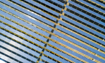 Electrocomponents unveils global 2030 ESG action plan:  For a better world