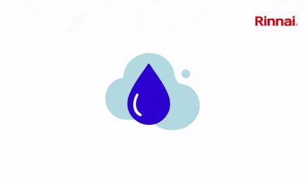 Rinnai Decarbonising Hot Water: The Continuing Role of Natural Gas