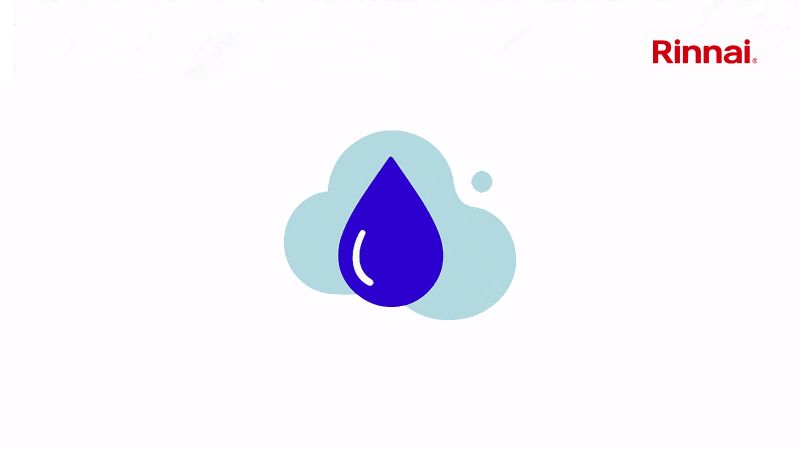 Rinnai Decarbonising Hot Water: The Continuing Role of Natural Gas