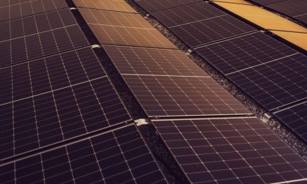 Taking control: the potential for distributed energy to transform business in 2025