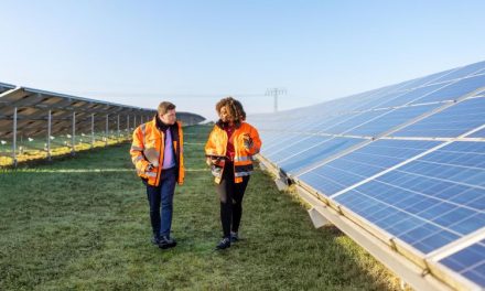 Business Net Zero plans blown off track by the energy crisis