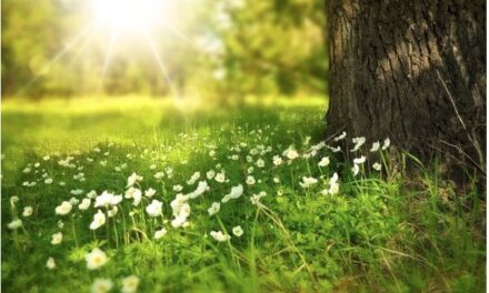 Temperatures are rising but don’t let your energy bills do the same!