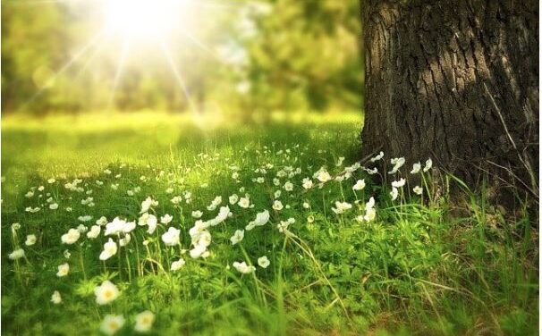 Temperatures are rising but don’t let your energy bills do the same!