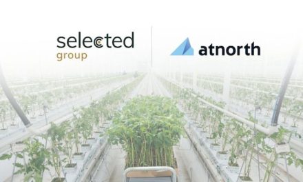 Data centre surplus heat to power greenhouse development in Denmark
