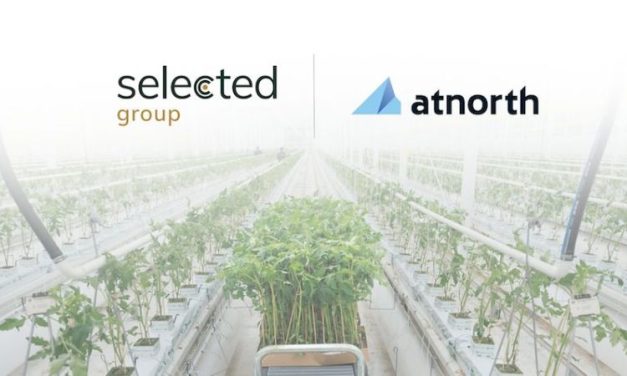 Data centre surplus heat to power greenhouse development in Denmark