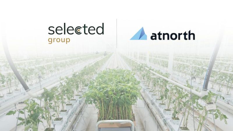 Data centre surplus heat to power greenhouse development in Denmark
