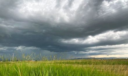 The truth about storm-related electricity faults