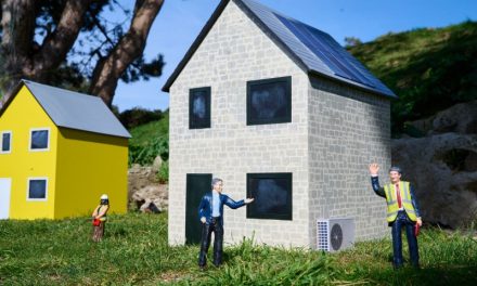 Make all new homes have solar panels to cut bills and emissions, councils urge
