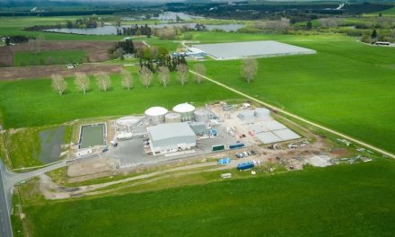 Biogas plant benefits from HRS Heat Exchangers pasteurisation system