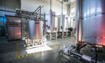 Report shows now is the time to seize biogas opportunity