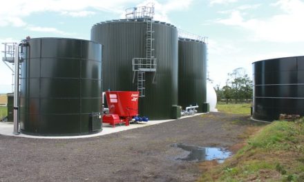 Reasons for biogas optimism despite global challenges